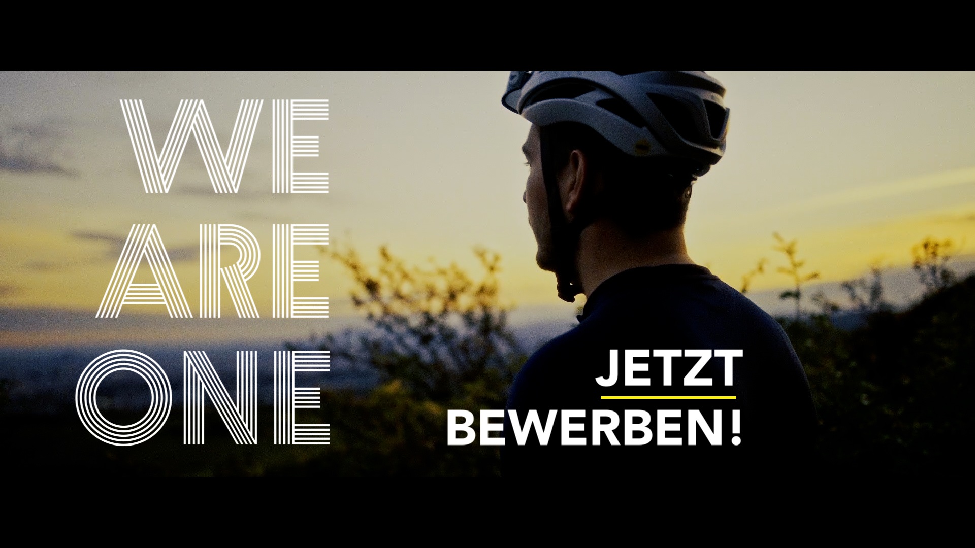 All for one group österreich stellen