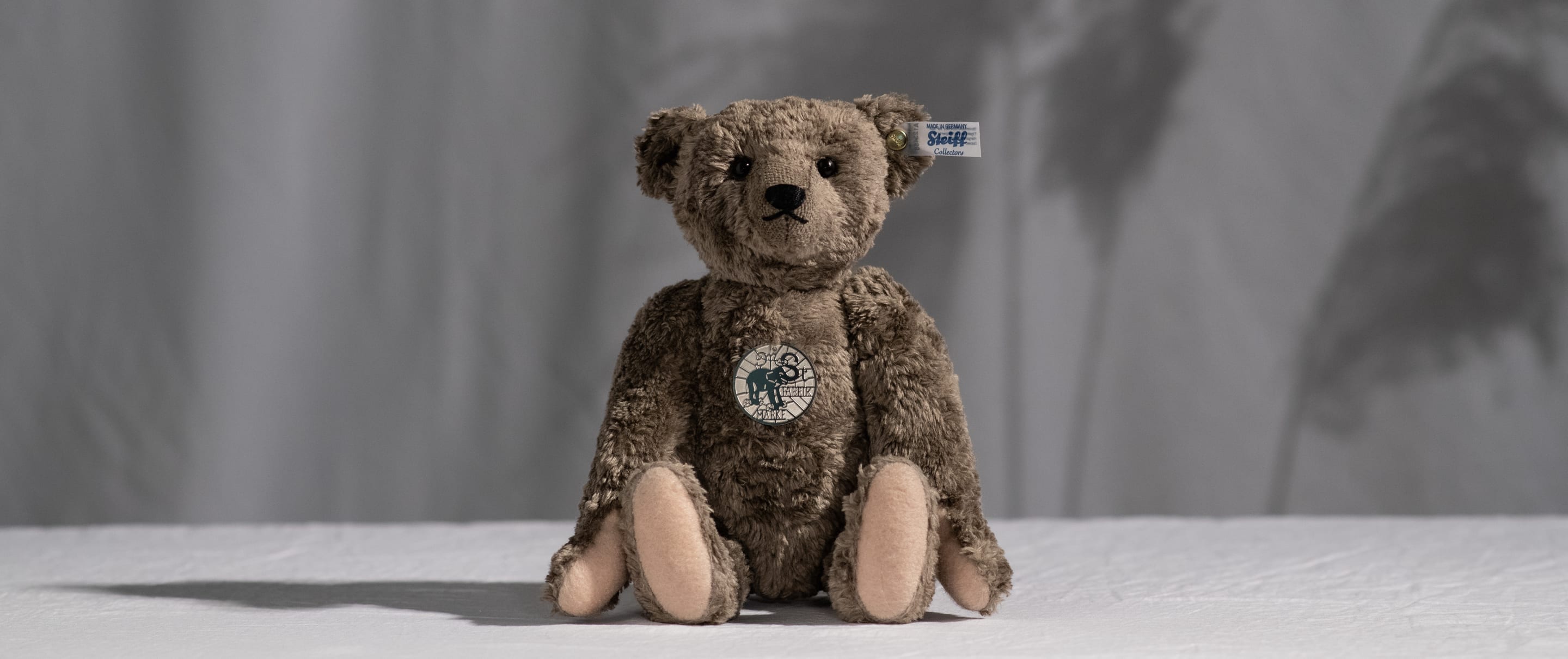 Teddybär sitzt auf einem Tisch