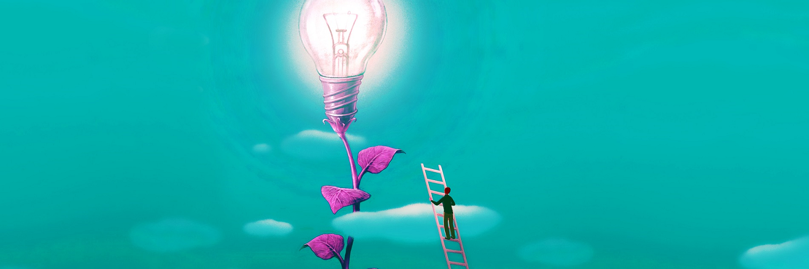 Aus einer Pflanze wächst eine Glühbirne, an der ein Man mit einer Leiter steht