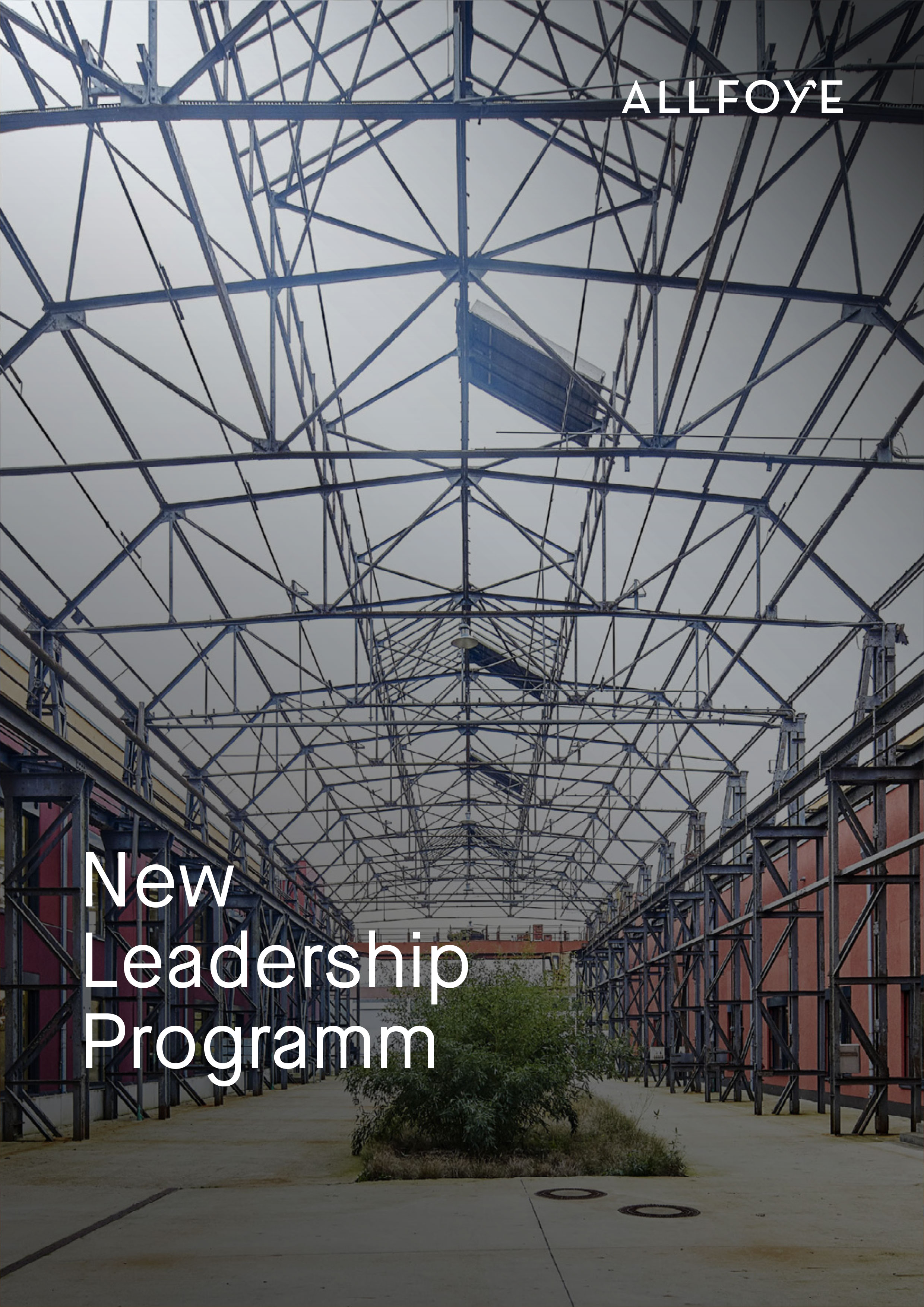 Eine verlassene, nicht mehr genutzte Werft mit verwitterten Strukturen und stillgelegten Anlagen.