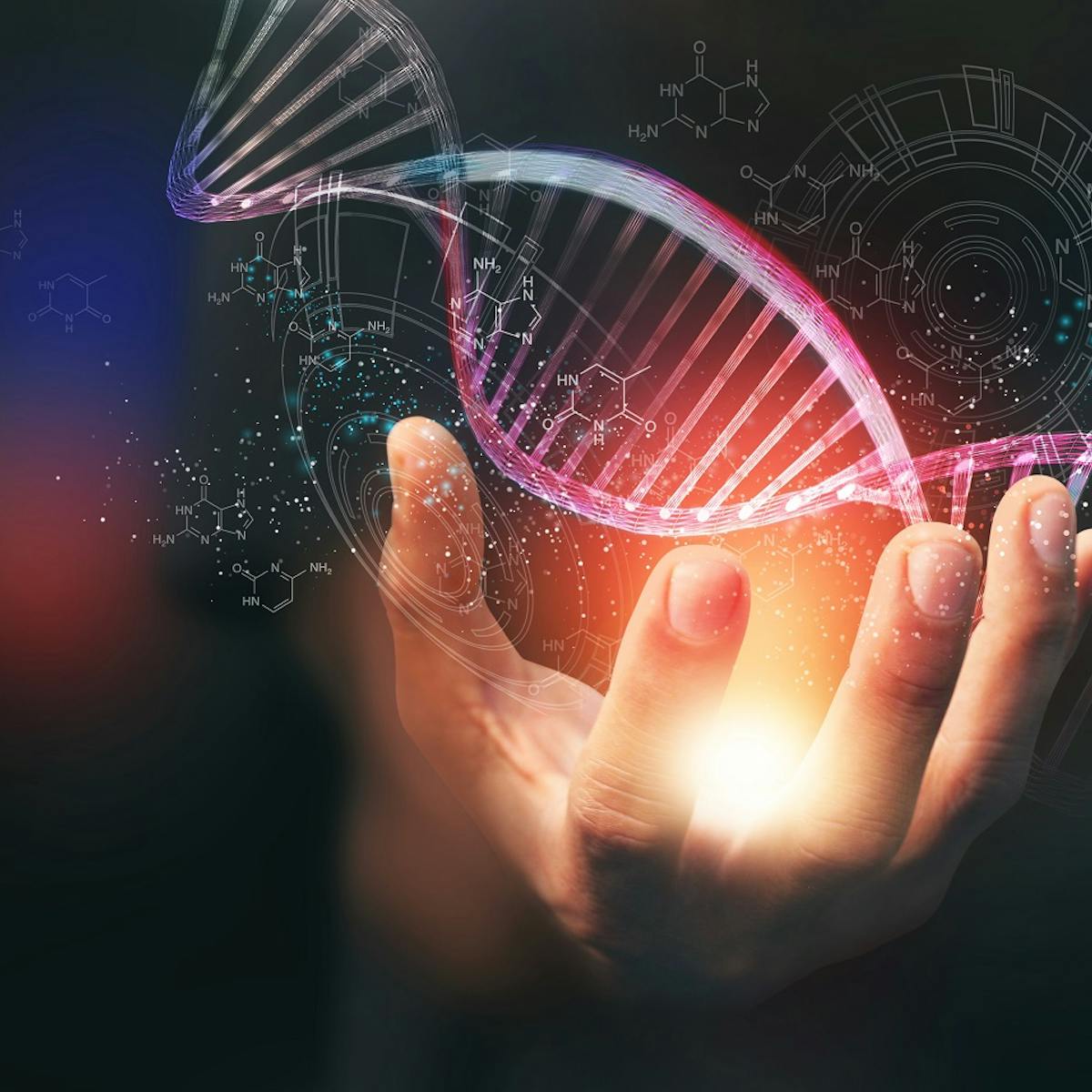 Ein Hand hält einen DNA-Strang